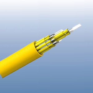 室内分支光缆