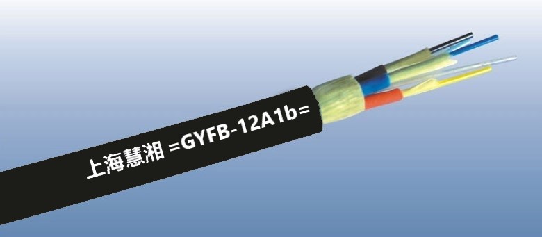 GYFB-12A1b   12芯多模野战拖曳光缆