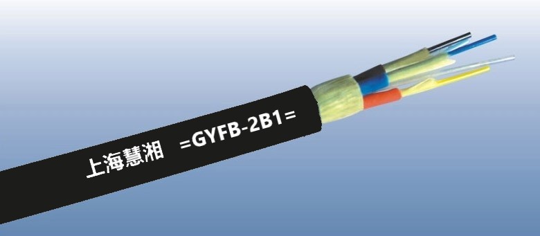 GYFB-2B1.jpg